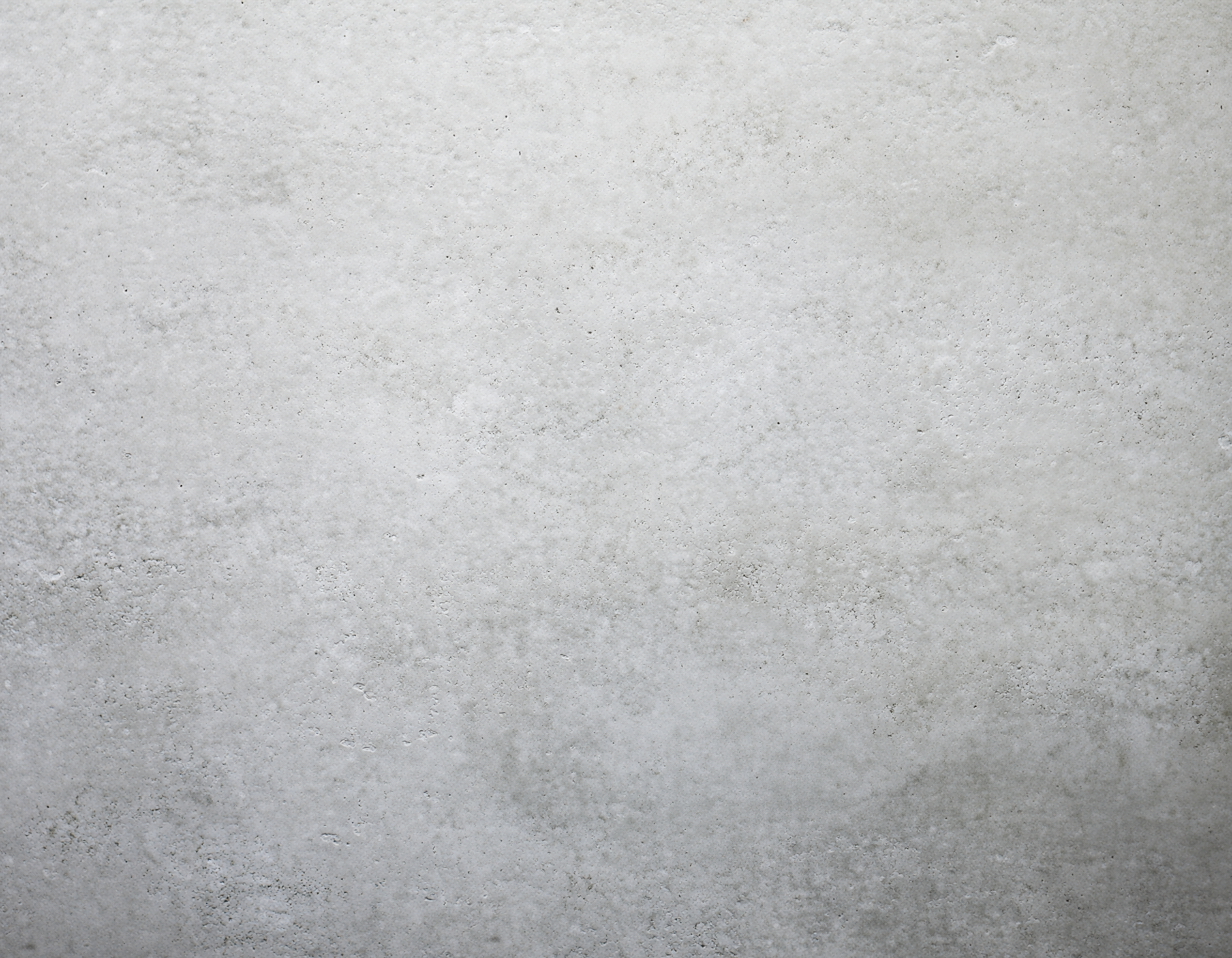 Firefly_plain light grey cement background 963141